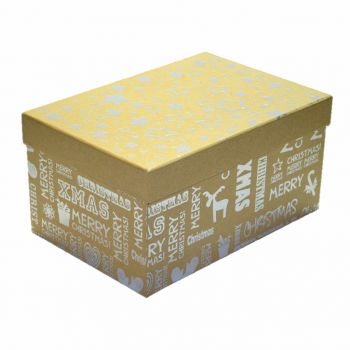 Hlavný obrázok Darčeková krabica s vianočným motívom strieborná